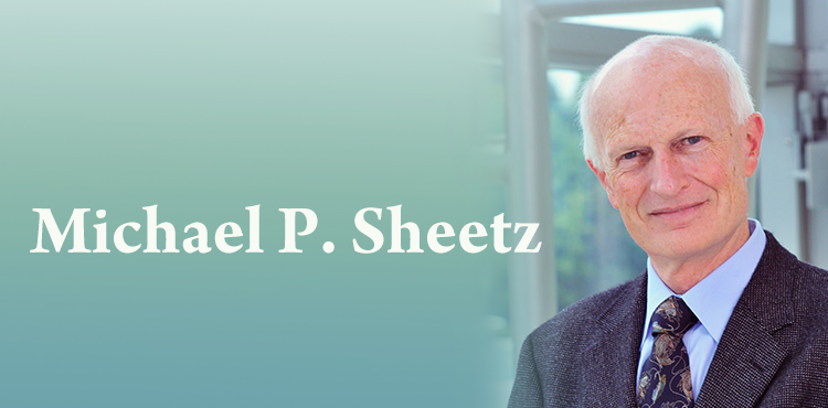 Michael P. Sheetz